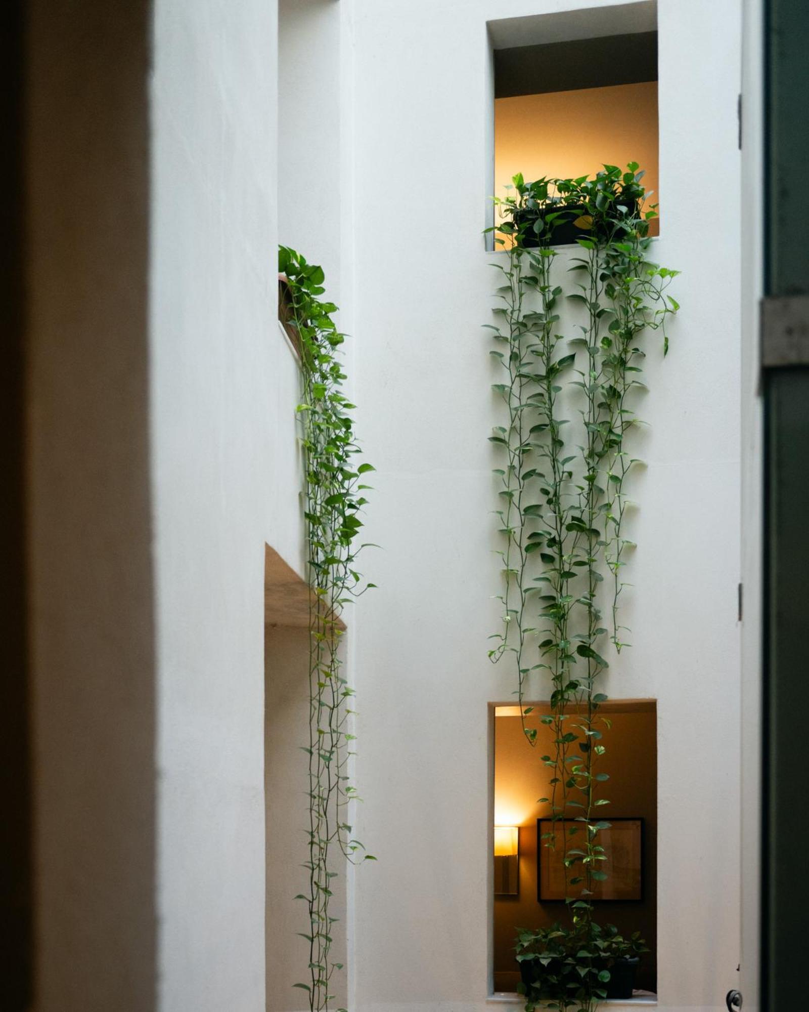 Hotel Ramblas Internacional Barcelona Exteriér fotografie